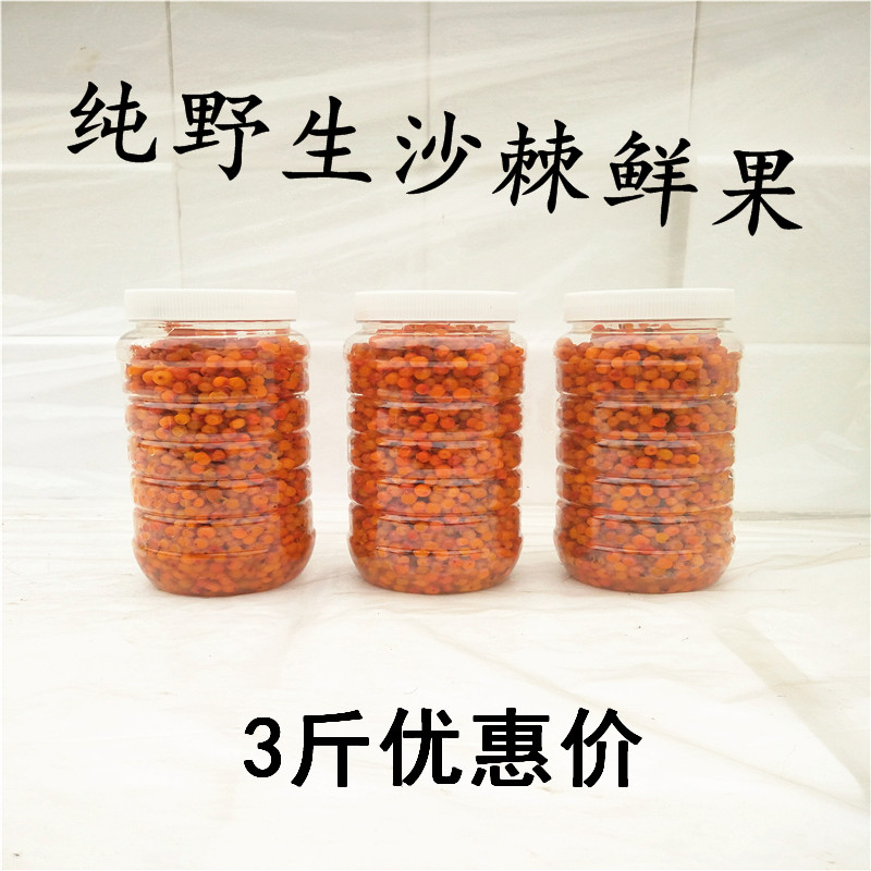 Shanxi specialty Lv Liang fresh sea buckthorn fruit selected premium wild sea buckthorn fresh fruit 3 pounds enzyme juice