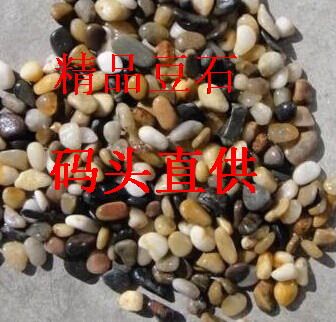 Ground Heating Find Flat Special Boutique Bean Stone * Sea Snail Cement Yellow Sand Bean Stones * Jiading Baoshan Pier Direct Sale