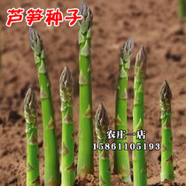 Asparagus seed seed seedling root root seed seed root seedling potted root Seedling Seed with soil vegetable vegetable seed vegetable seed vegetable seed vegetable seed