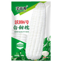 Super sweet fruit corn seeds rock sugar milk white sticky black Sweet glutinous corn seeds colorful high yield four seasons vegetables