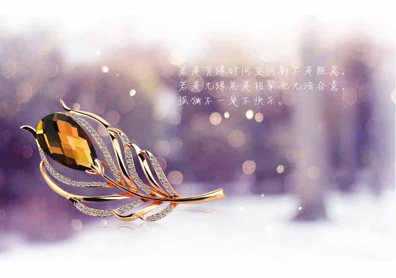 Broche femme en cristal artificiel - Ref 1172168 Image 12