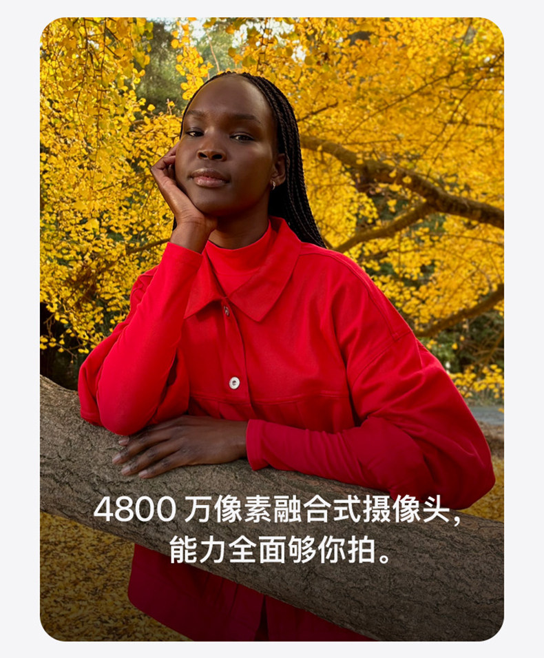 Apple/苹果 iPhone 16e插图6