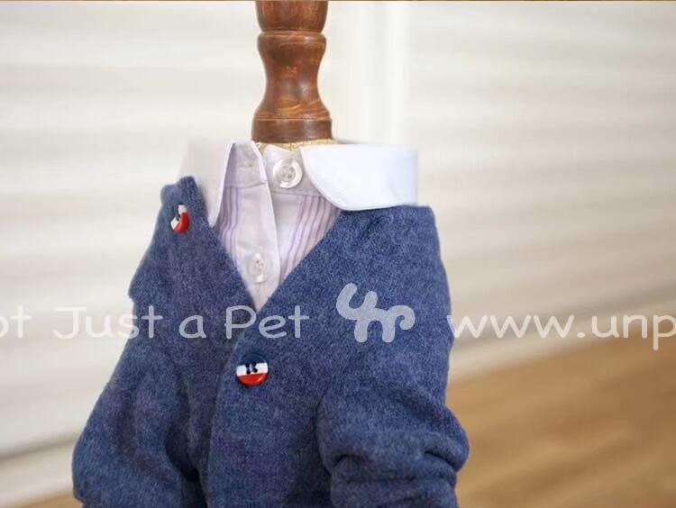 UNPET Breguet Pet Dress Quần áo Teddy Bear Bear Áo thun dài tay Áo khoác nịt màu xanh Chó Áo len Hàn Quốc - Quần áo & phụ kiện thú cưng mũ bảo hiểm cho chó