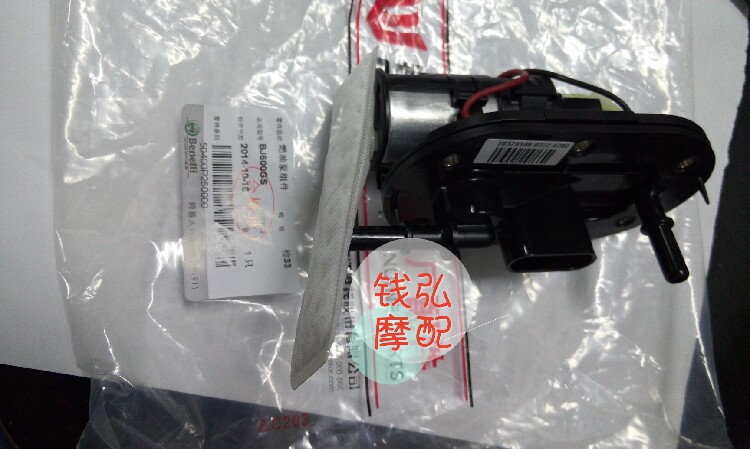 Qian Hong Motorcycle suitable Huanglong BJ600GS fuel pump fuel pump assembly