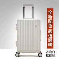 Интернет -знаменитость зерно белый