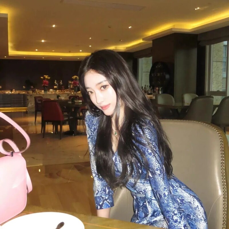 Vintage *Dv*F Blue Snake Print Sexy V-Neck Slim Wrap Dress One-Piece Long-Sleeve Dress for Autumn