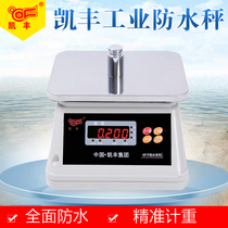 Kaifeng kf-f electronic waterproof scale Weighing Weighing Scale Kitchen Scales High Precision 0 5G Electronic Platform Scale Industrial Scale