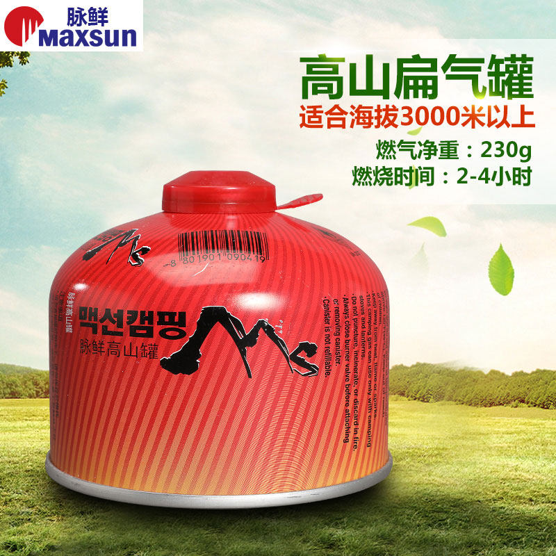 South Korea Outdoor Camping Barbecue Grill with fuel gas gas body spray gun welding gun Furnace Head Veins Fresh Alpine Gas Tank