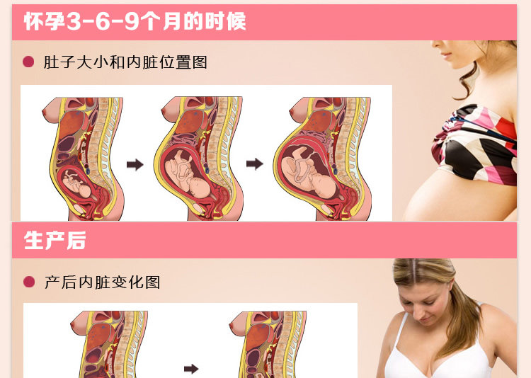 Corset doux en spandex - Ref 677638 Image 27