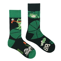 Лягушка Поиск матери