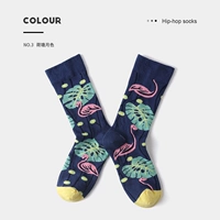 Lotus Pond Moonlight 35-42