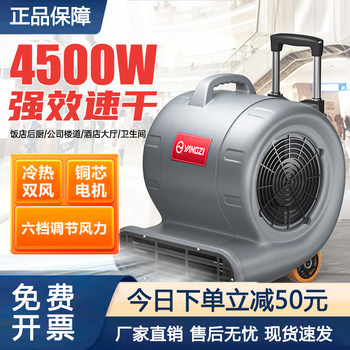 Commercial Floor Blower, High-Power Dryer for Home Use, Hotel Bathroom Floor Carpet Blower, Powerful Dehumidification and Drying