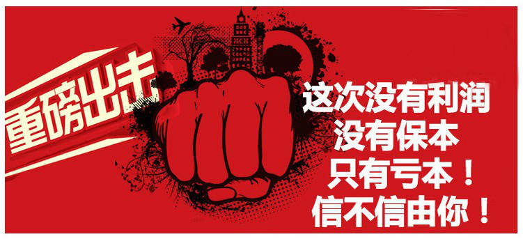 chargeur 2A - Ref 1296635 Image 6