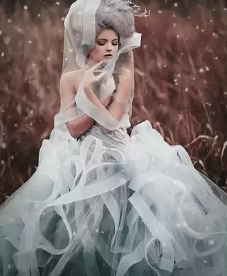 Hardened yarn thickened wedding fish bone accessories clothing elastic mesh belt skirt brace ponytail Fishbone hard mesh horsetail lining