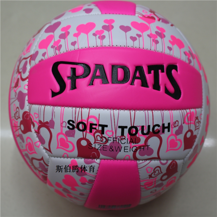 Ballon de volley-ball - Ref 2009804 Image 37