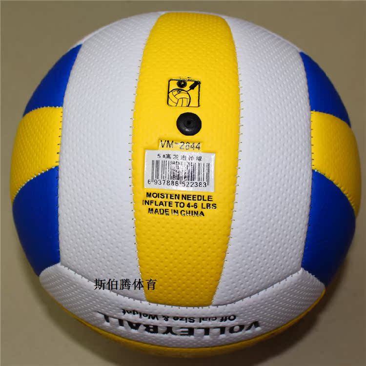 Ballon de volley-ball - Ref 2010013 Image 27