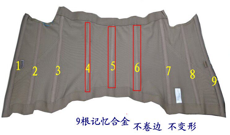 Corset FORWMIREN - Ref 682366 Image 23