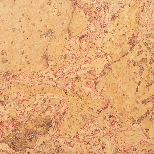 Palatable cork wall panel quality natural eco-friendly decorated board sofa TV background wall indoor wall panel running water red