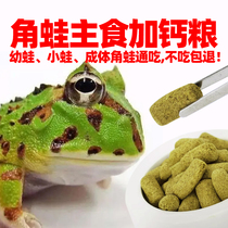 Professional baby horned frog food golden frog food blue and green frog pet frog grandpa tree frog green bell horned frog food pellet frog food