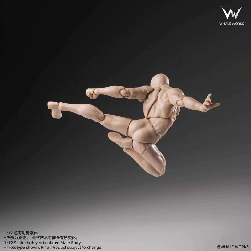 In Stock, Whale Workshop 1/12 Super Articulated Male Body, Domestically Produced Finished Movable Figure In Stock, Whale Workshop 1/12 Super Articulated Male Body, Domestically Produced Finished Movable Figure