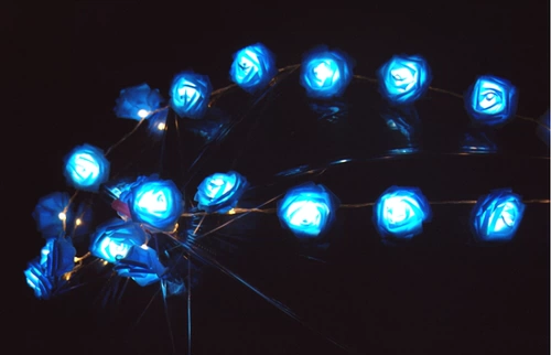 Реквизит для фотографии, реалистичный креативный фонарь, розы, в цветочек