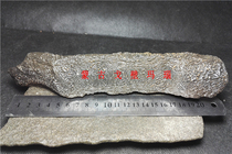 Natural Alxa Gobi agate Gobi stone wind gravel Xinjiang water rippled mud stone raw stone hand-made stone A