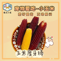 Mini small corn grinding teeth bar snacks hamster dragon cat guinea pig herbivos squirrel rabbit snacks