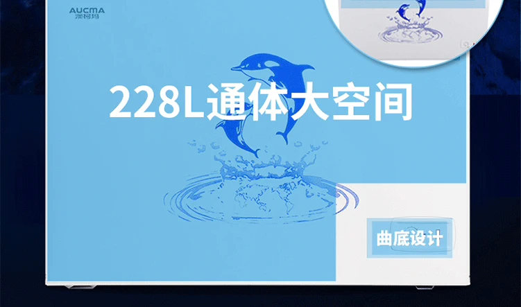 Tủ đông Aucma / Aucma BC / BD-228NE Tủ đông thương mại hộ gia đình tủ lạnh một nhiệt độ