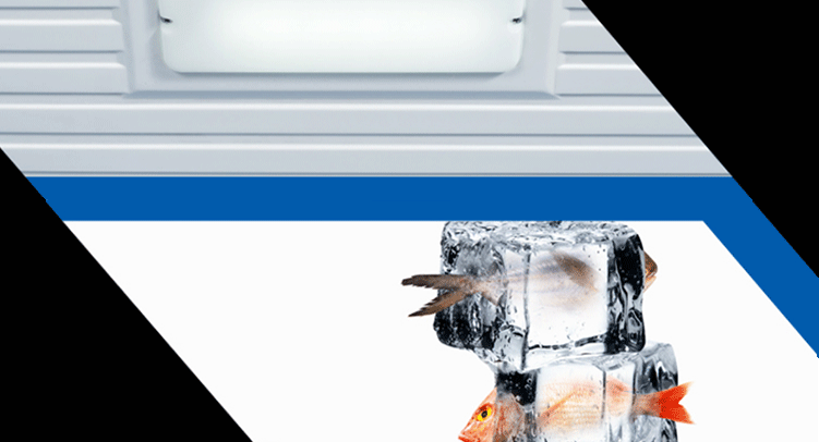 MeiLing / Meiling BC / BD-528DTE 528 lít nhiệt độ duy nhất 1 phòng đầy đủ đông lạnh - Tủ đông tủ đựng kem