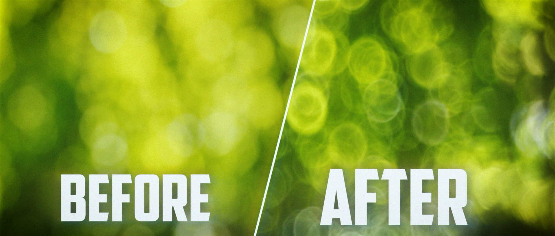 before after.png