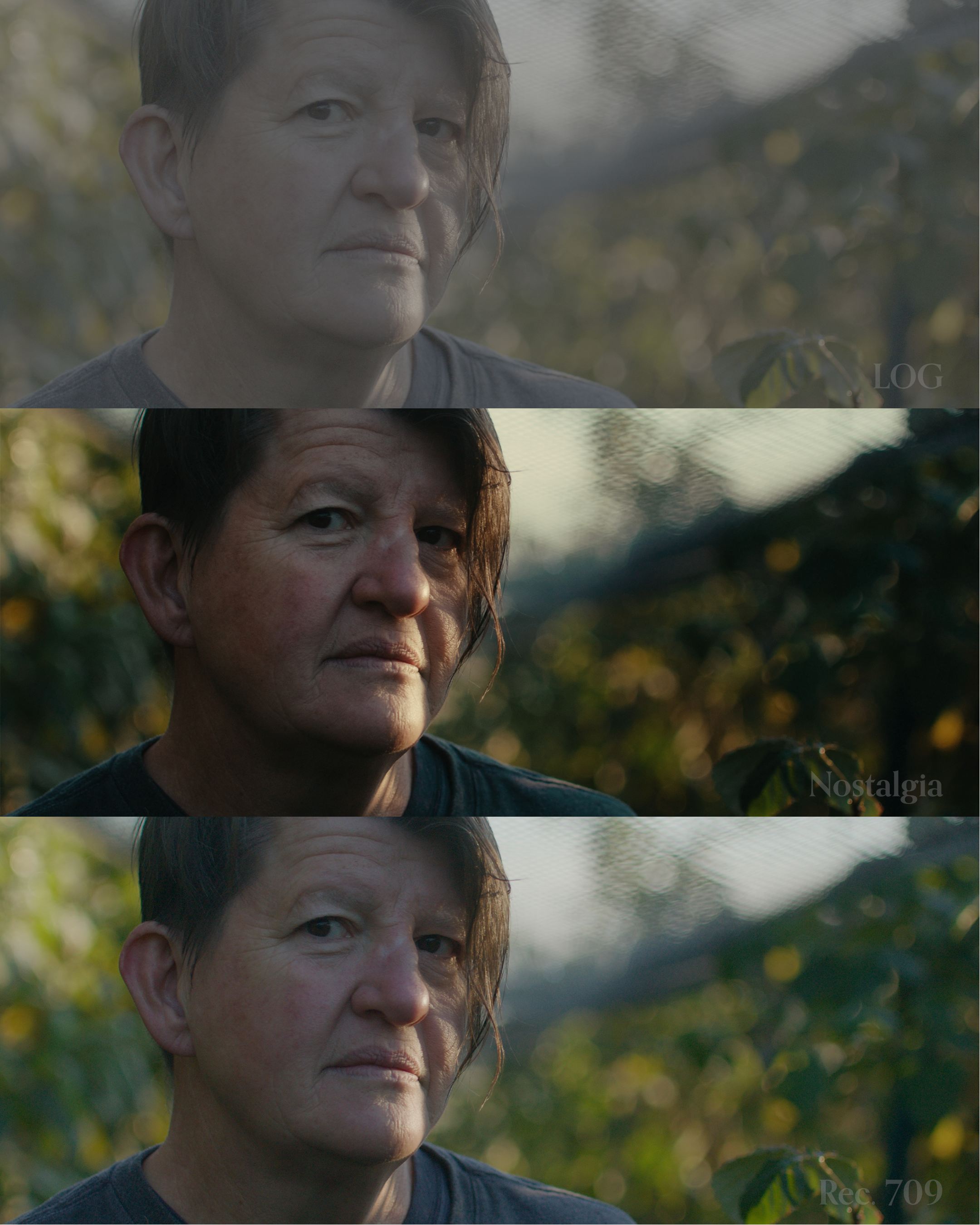 电影胶片调色LUTs预设 Nostalgia LUTs – Nostalgia III Blackmagic 954a923e-7242-4a6b-b267-cecc5ff26d76.webp.webp