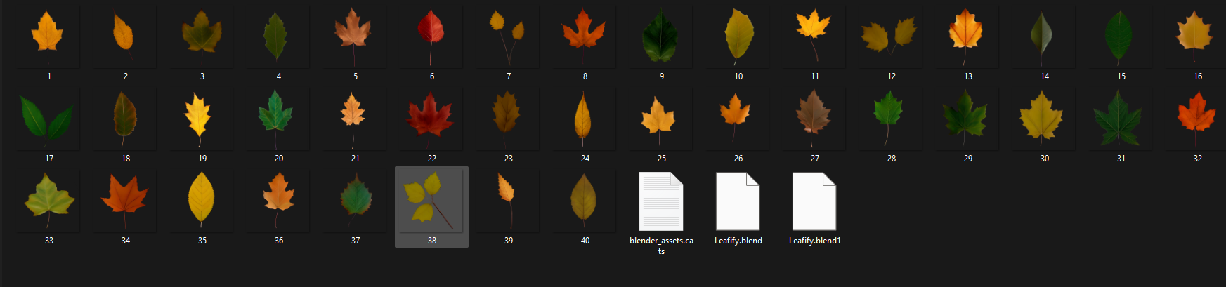 Blender树叶资产预设 Leafify – 40 Leaf/Leaves Texture Alphas leafify2.png