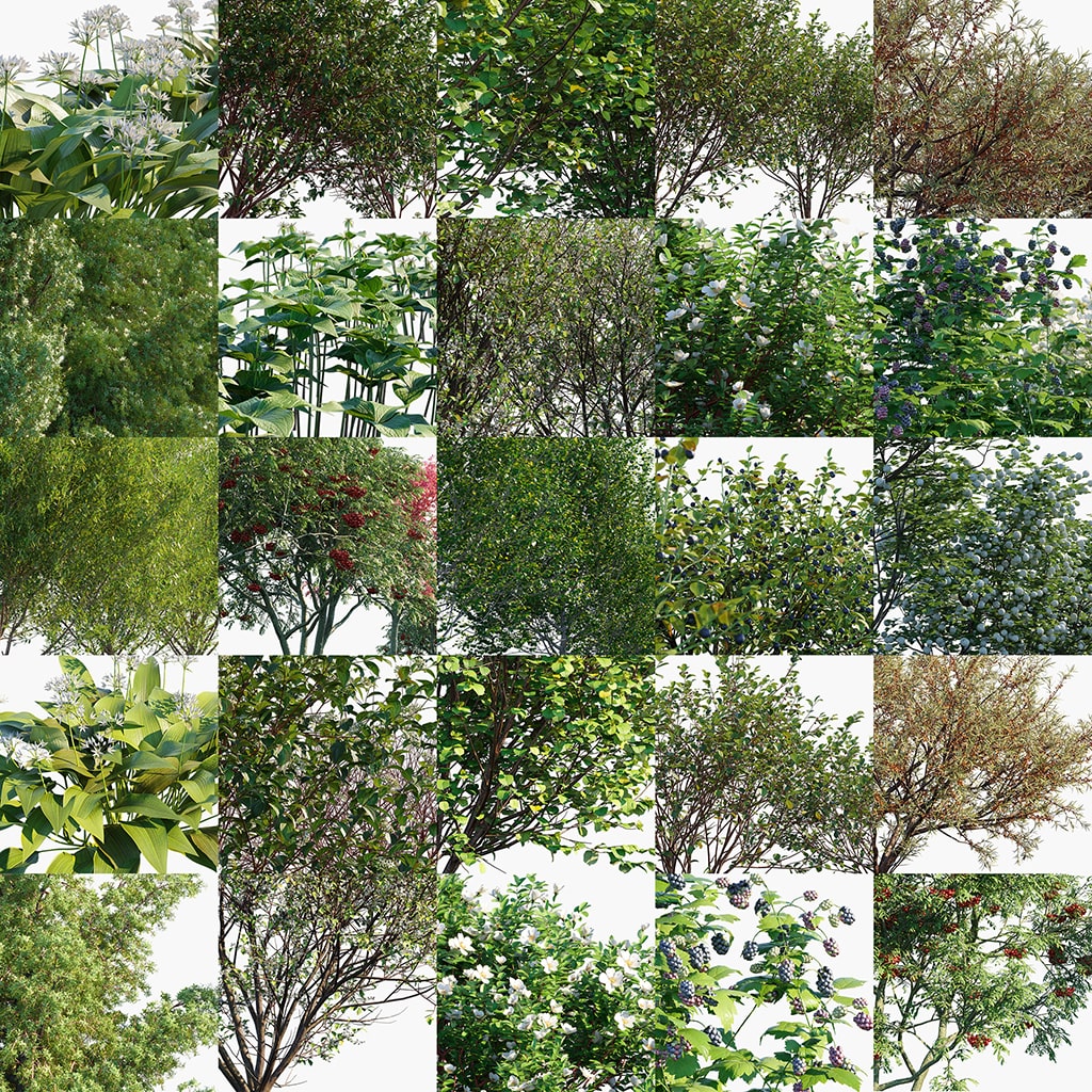 3D模型|瑞典欧洲树木植物模型 Globe Plants – Bundle 44 globe-plants-3d-plant-model-bundle-44-swedish-plan.jpg