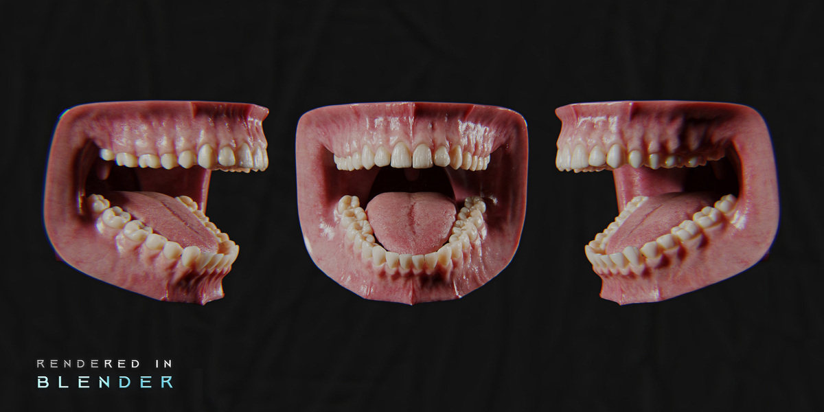 Blender/八猴超写实人类牙龈口腔绑定游戏3D模型 Ultra-Realistic Gum – 8K Pbr image_processing20260218-2-u90l5i.jpg