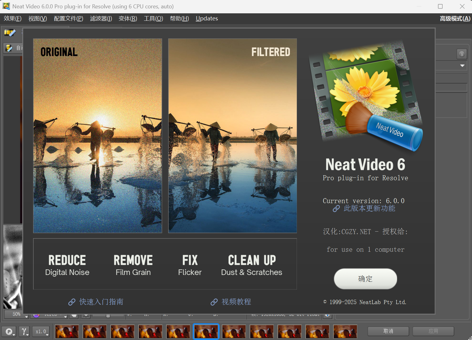 中文汉化-达芬奇专业视频画面降噪插件 Neat Video Pro v6.0.0 for DaVinci Resolve Win一键安装版 1.png