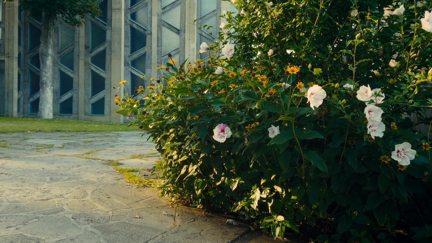 FILMFLOW电影感调色LUTs预设 PowerGrade & LUT Pack 809ce94c-e5ea-4953-9394-fac5b955dfba.webp