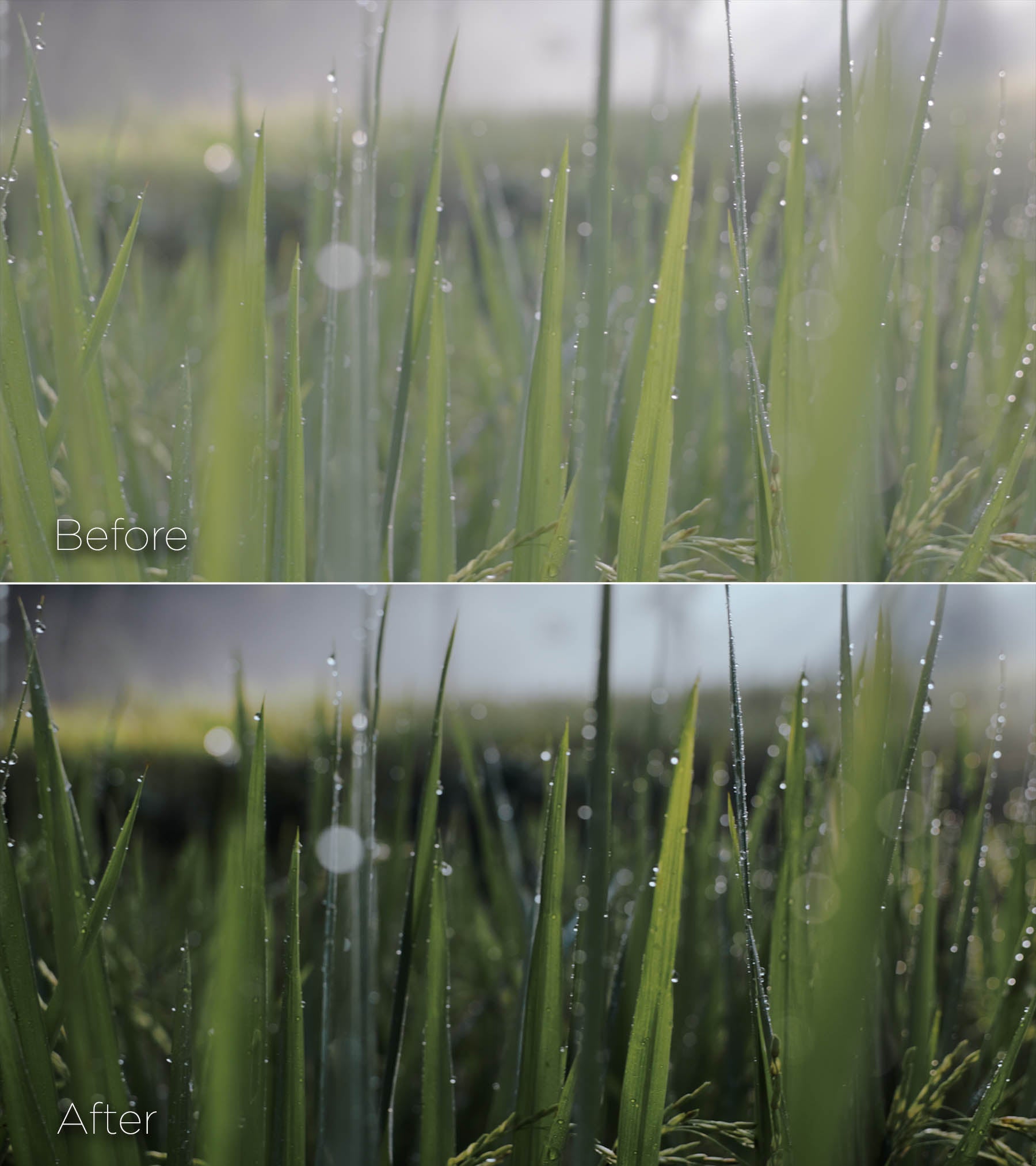 66组电影级视频调色LUTs预设 Cinematic Video LUTs By Watzac 66组电影级视频调色LUTs预设 Cinematic Video LUTs By Watzac