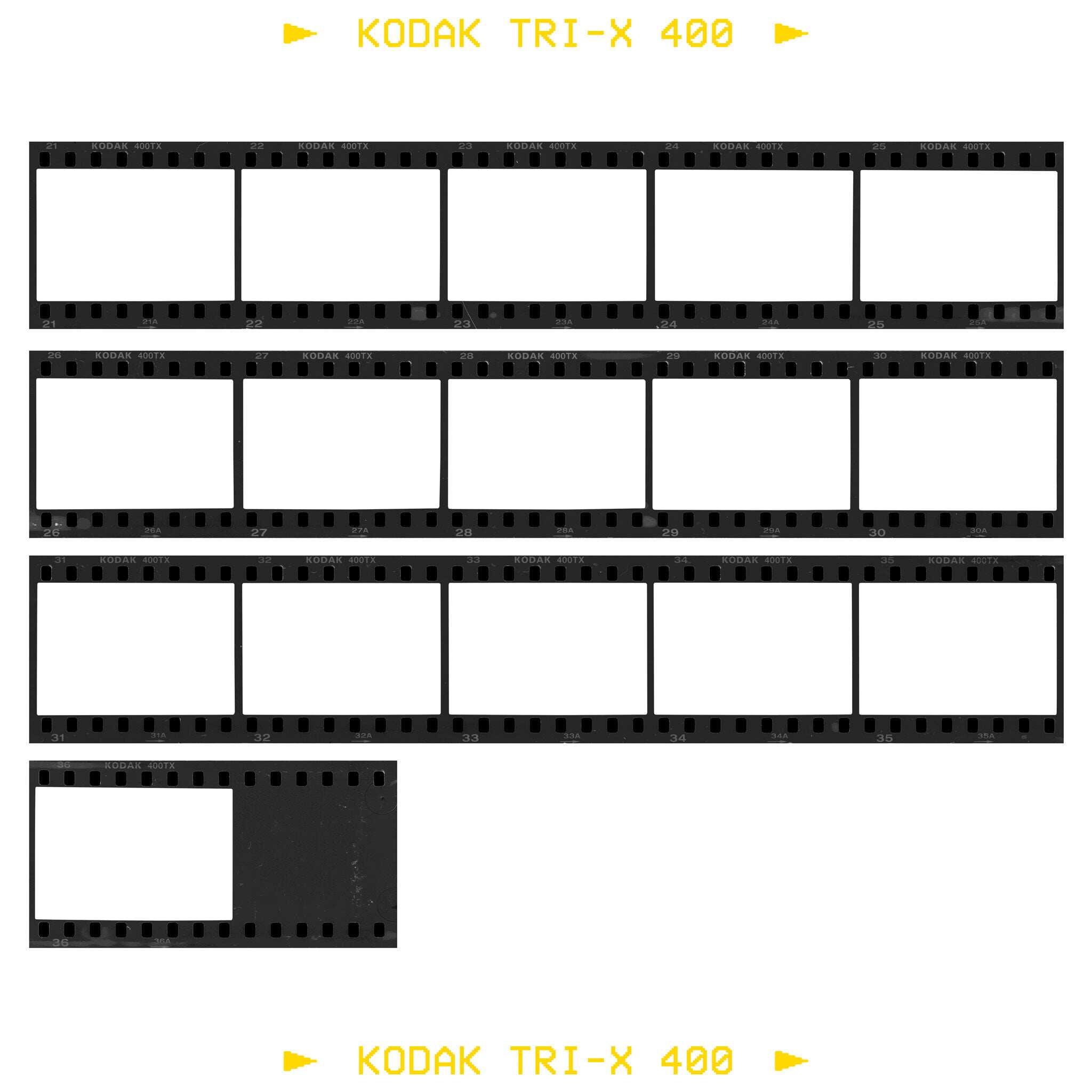 c2526ec0-7349-4a8a-a594-b600e38fb80c.jpg