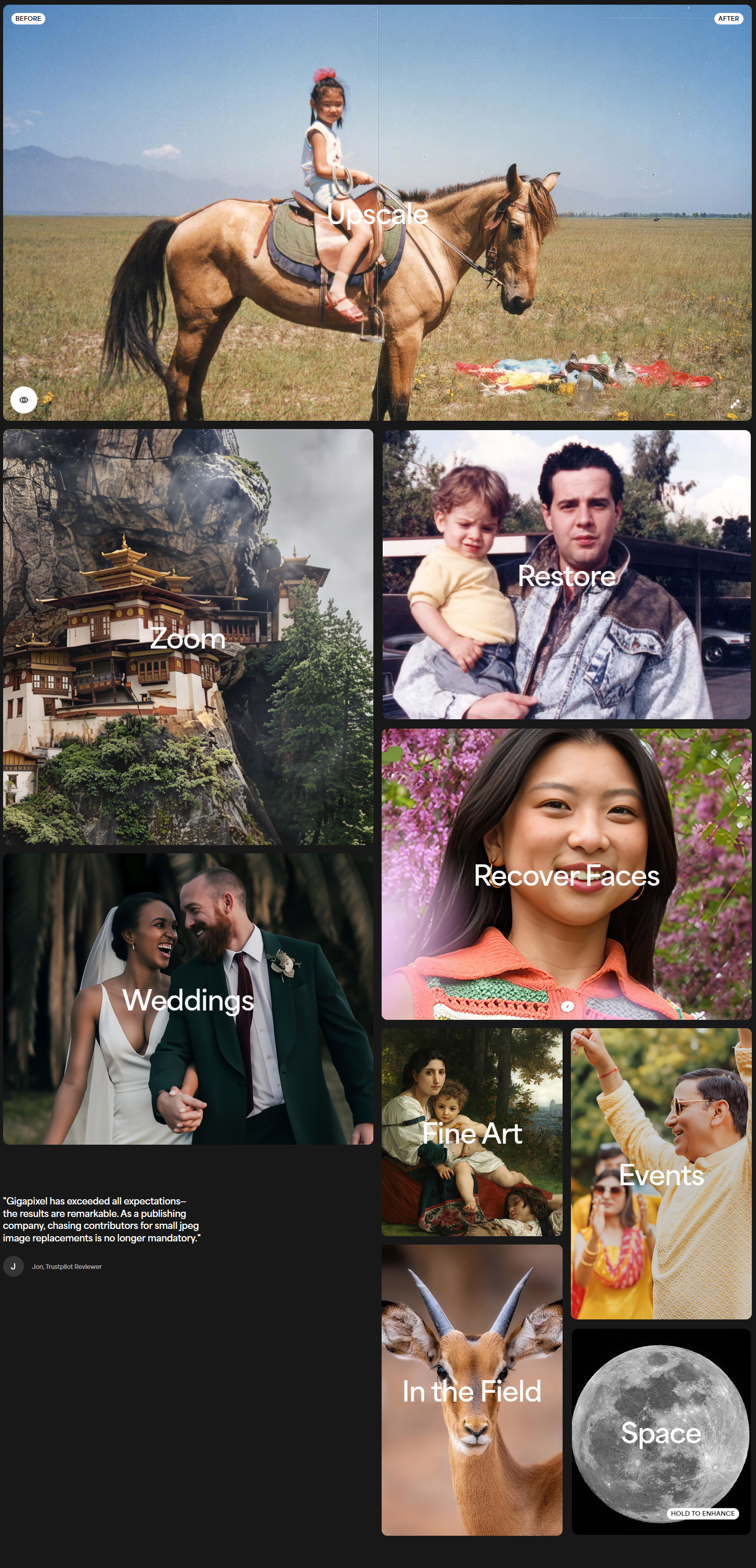 AI人工智能图片无损放大增强软件 Topaz Gigapixel Pro v1.0.4 Win/Mac破解版下载