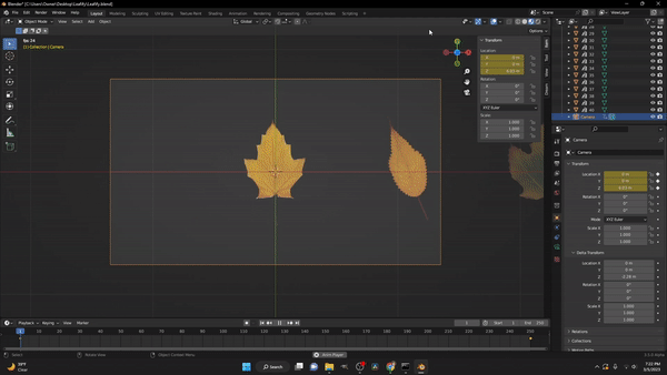 Blender树叶资产预设 Leafify – 40 Leaf/Leaves Texture Alphas ezgif-5-ad2d34a740.gif