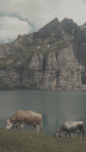 真实电影胶片质感LUTs调色预设包 Preset Curator – Film Emulation LUTs and Power Grades Pack db74e379-6121-4ec1-937c-e5f84099bd23.webp.webp