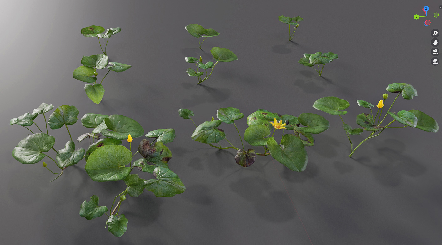 10029.Ground_Scatter_012_Pilewort_05_CC.jpg