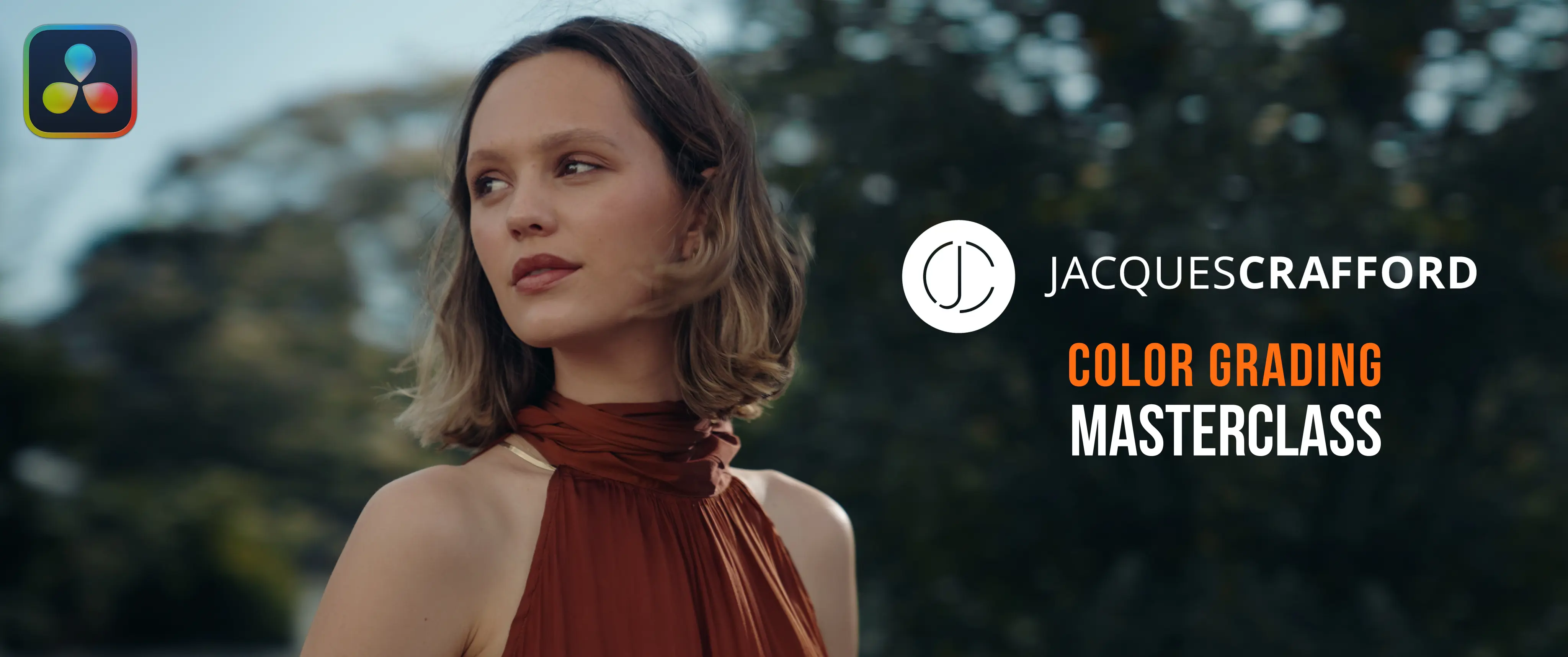 中英文字幕-达芬奇零基础到专业大师调色教程 Jacques Crafford – DaVinci Resolve Color Grading Course 33.webp