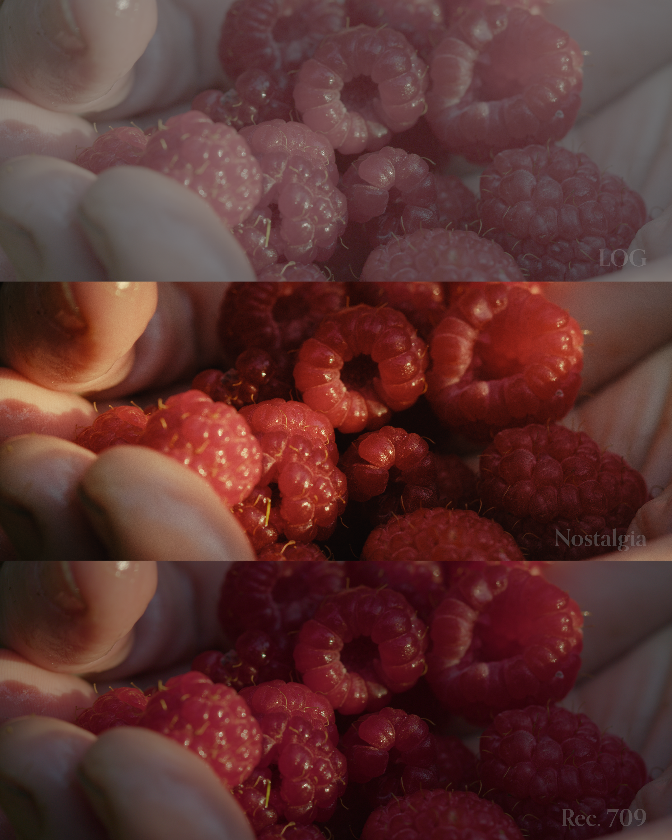 电影胶片调色LUTs预设 Nostalgia LUTs – Nostalgia III Blackmagic 90aa0acd-95db-45b5-8834-1003bcba8405.webp.webp