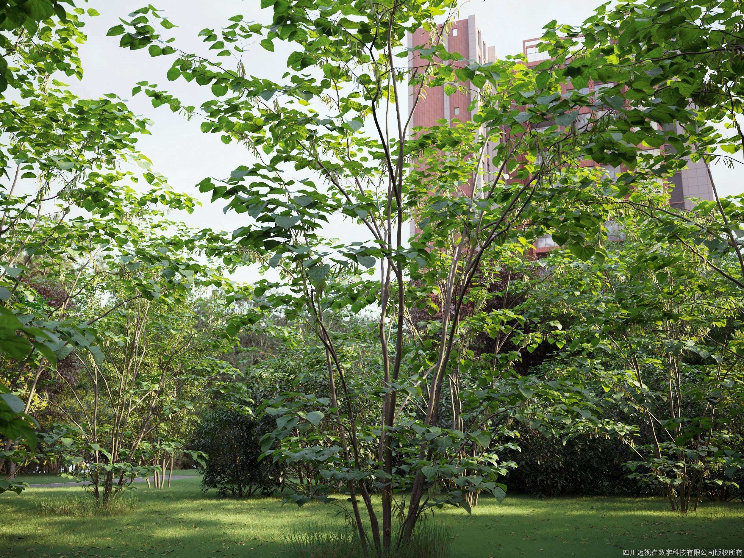 MT-PM-V59-Scene-C3.jpg