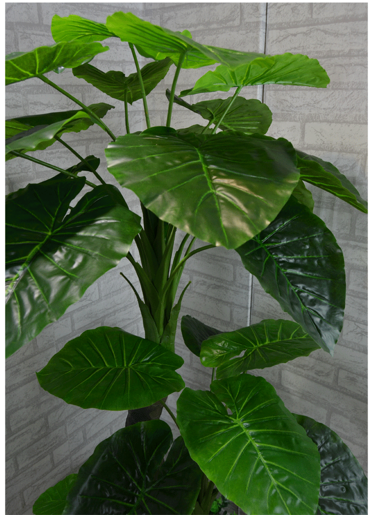 Cây giả nhỏ giọt Guanyin mô phỏng cây xanh cây xanh chậu lớn phòng khách văn phòng hoa giả sàn trang trí hoa - Hoa nhân tạo / Cây / Trái cây cây giả decor