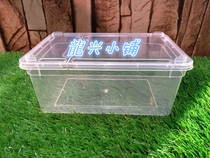 Centipede scorpion spider pet suitable for raising reptiles high-end feeding box