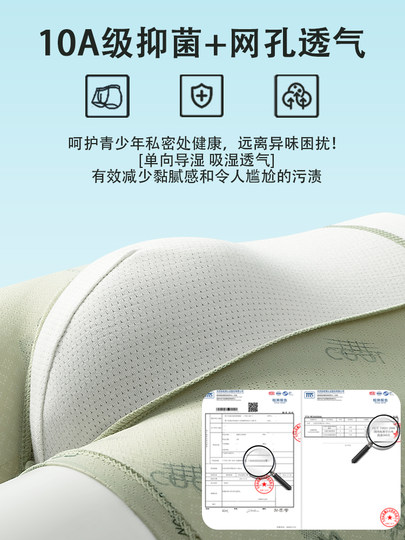 Men's Ice Silk Underwear 2026 New Boxer Briefs for Teenagers in the Developmental Period, Students, High School Students, Seamless Boxer Briefs