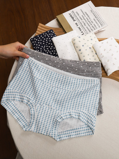 Women's Underwear, Pure Cotton 10A Antibacterial, Extended Crotch, No Pinching, No Chafing, All-Cotton Briefs