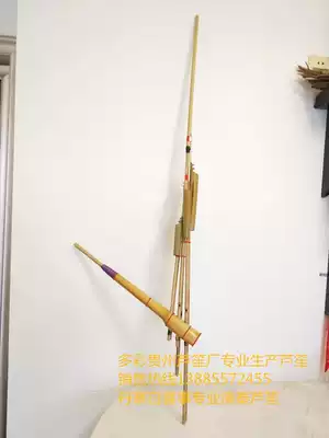 Minority Lusheng Guizhou Lusheng Danzhai Bai Xia professional performance Lusheng set of 3